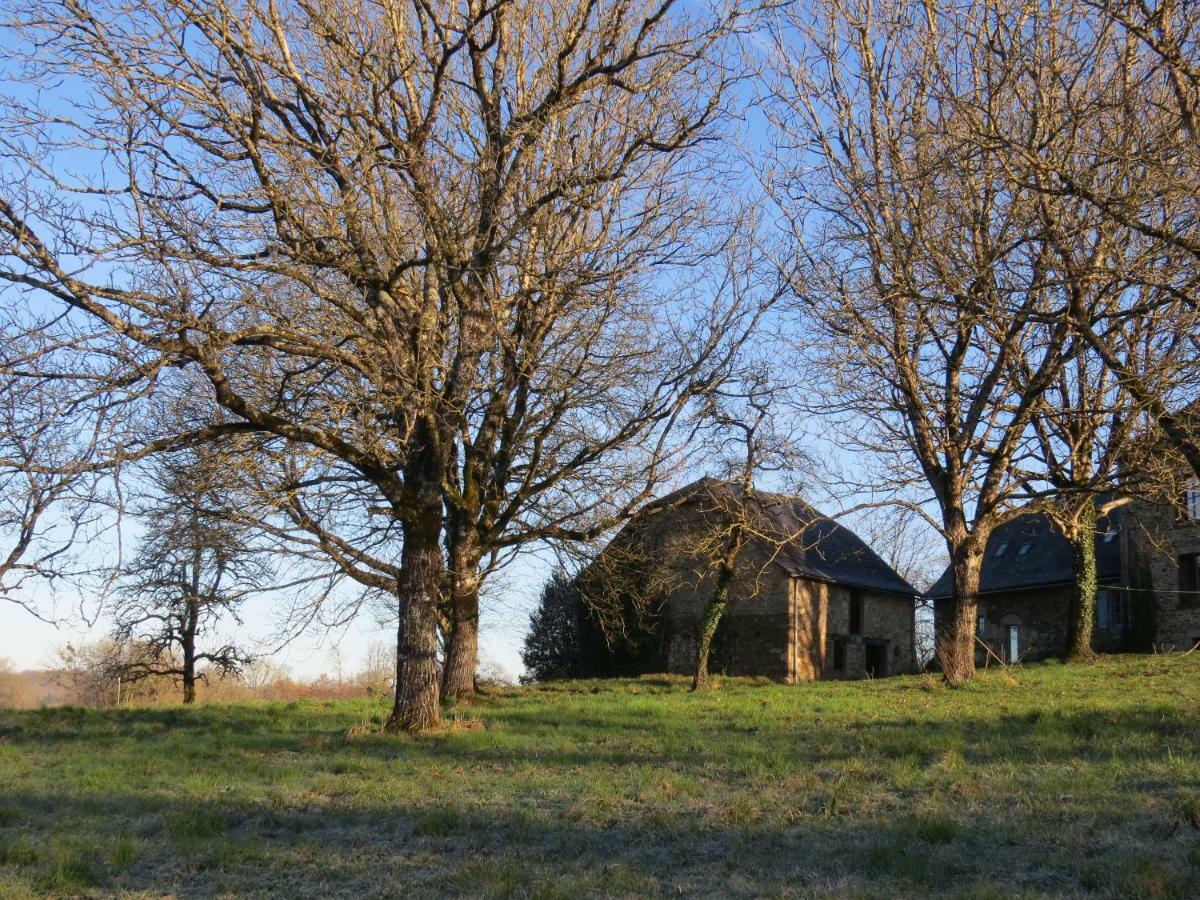 Domaine De La Clauzade Acomodação com café da manhã Saint-Germain-les-Vergnes Exterior foto